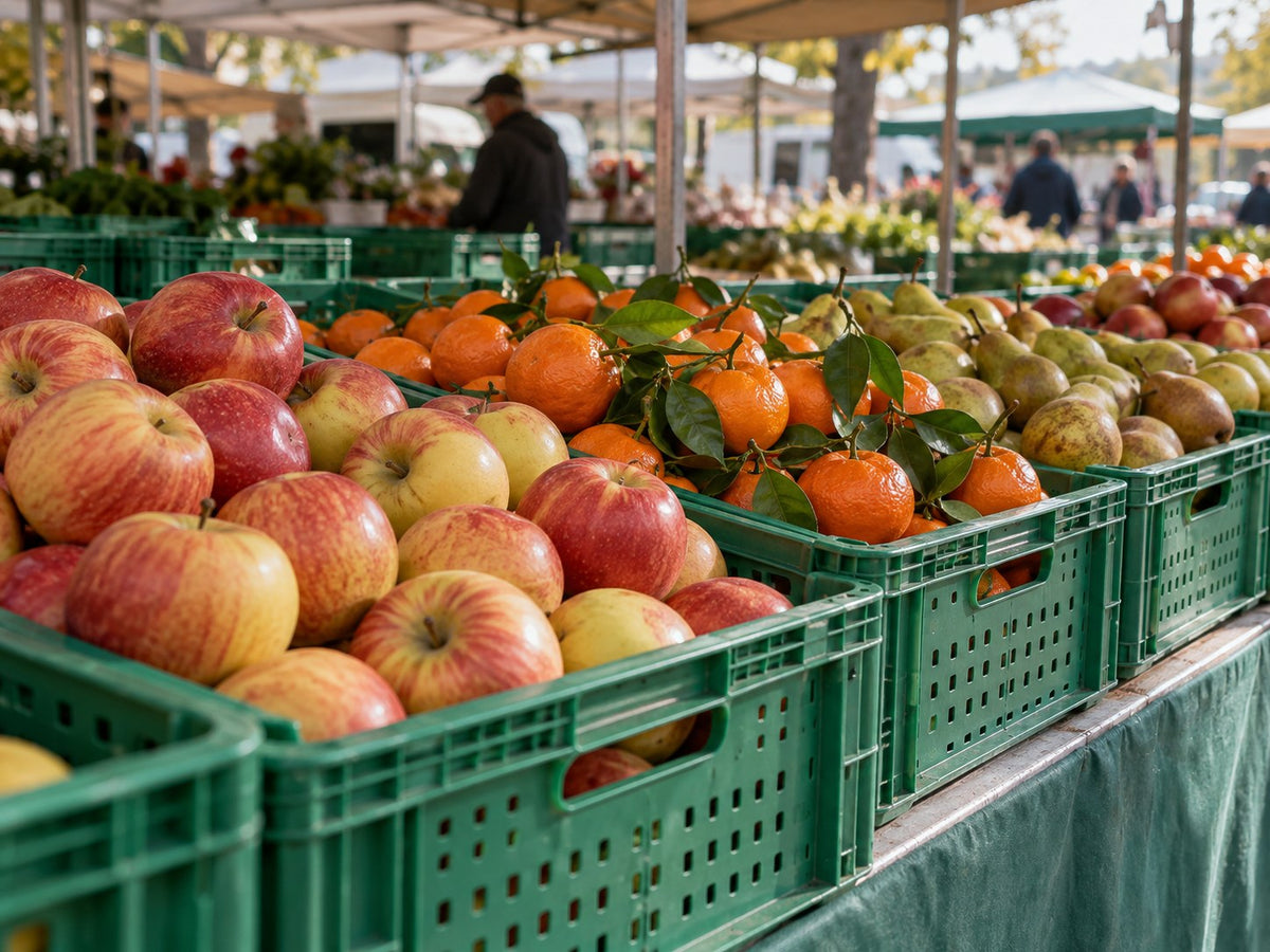 Seitlicher Blick auf Äpfel, Mandarinen und Birnen in grünen Europool-Kisten am Marktstand.